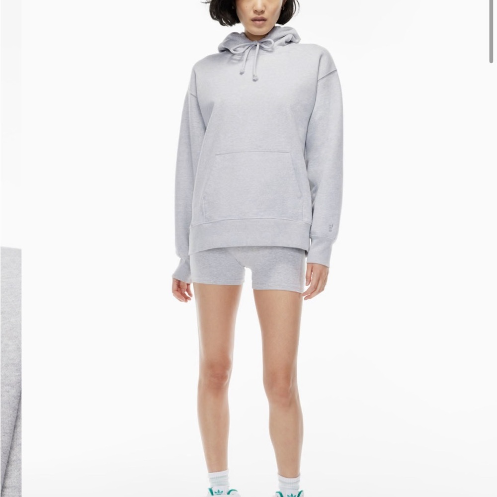 Aritzia Gray Oversized Long Sleeve Hoodie